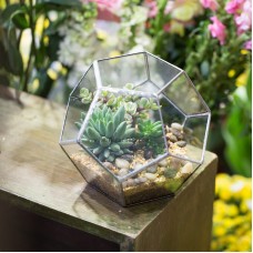 Geometric Ball Shape Plants Glass Terrarium Planter Pot Box for Christmas Presen 711978548097  162670928477